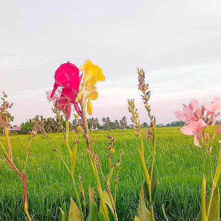 Kurau Inn Farmstay Kuala Kurau Zewnętrze zdjęcie