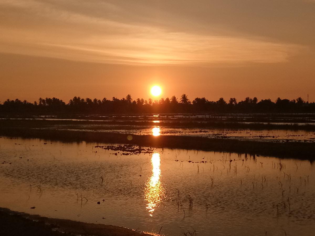 Kurau Inn Farmstay Kuala Kurau Zewnętrze zdjęcie